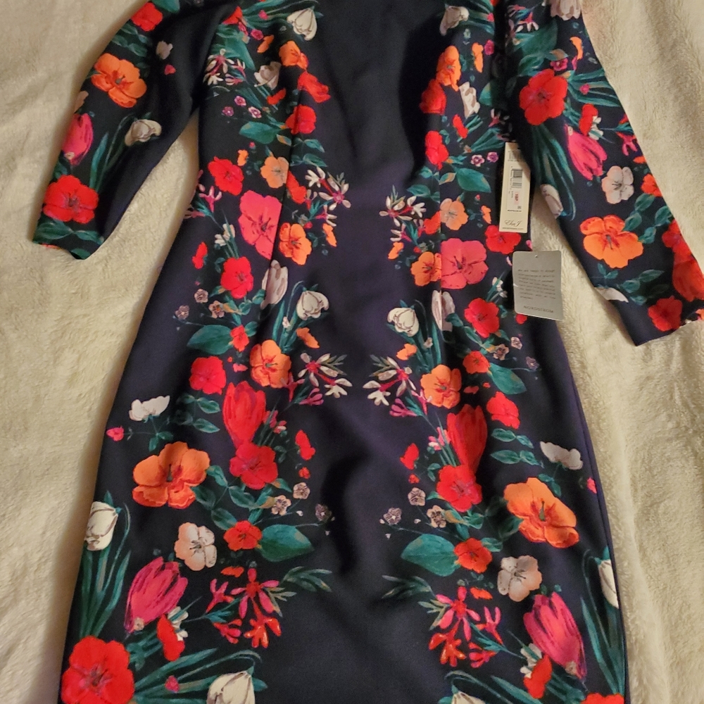 NWT Women's Eliza J Dress size 10P